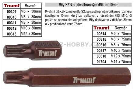 Bit XZN M10 se šestihranným dříkem 10mm, prodloužený délka 75mm 100-00317