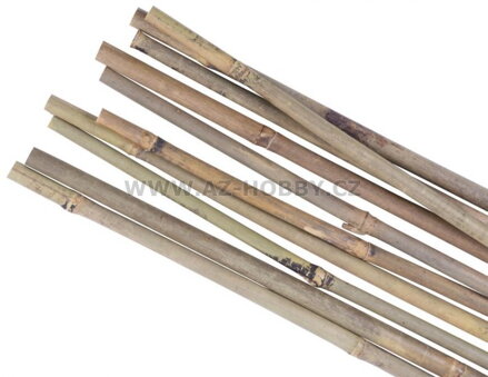 Tyč opěra k rostlinám bambus ¤12-14mm/120cm